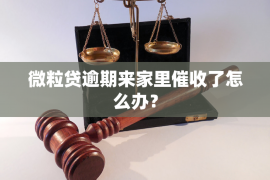 龙岩融资清欠服务